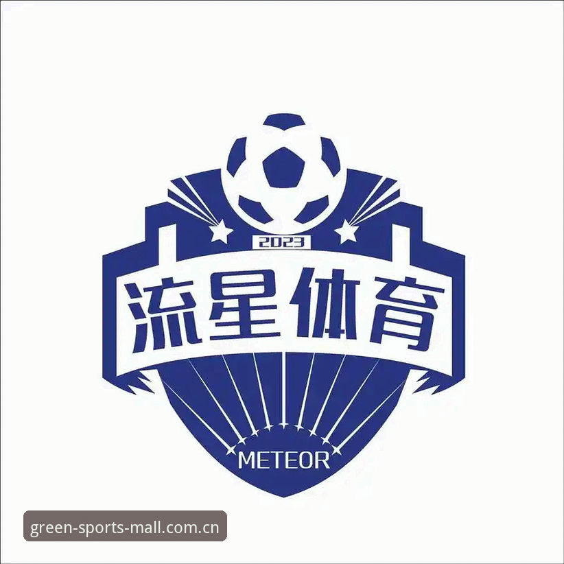 绿茵体育最新版本全面解析：从入门到精通的运动装备选购指南